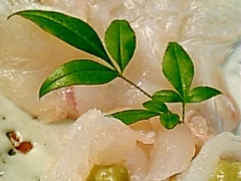 自己流 ヒラメのさばき方とお刺身つくり レシピ 作り方 By オクハマモ 楽天レシピ 自己流 ヒラメのさばき方とお刺身つくり レシピ 作り方 By オクハマモ 楽天レシピ